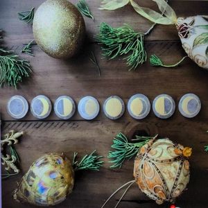 Smoky Quartz Moon Wisdom Crystals from Goddess Provisions